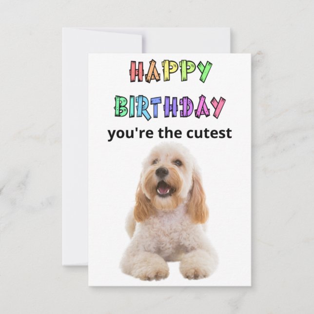 cockapoo birthday card (Front)
