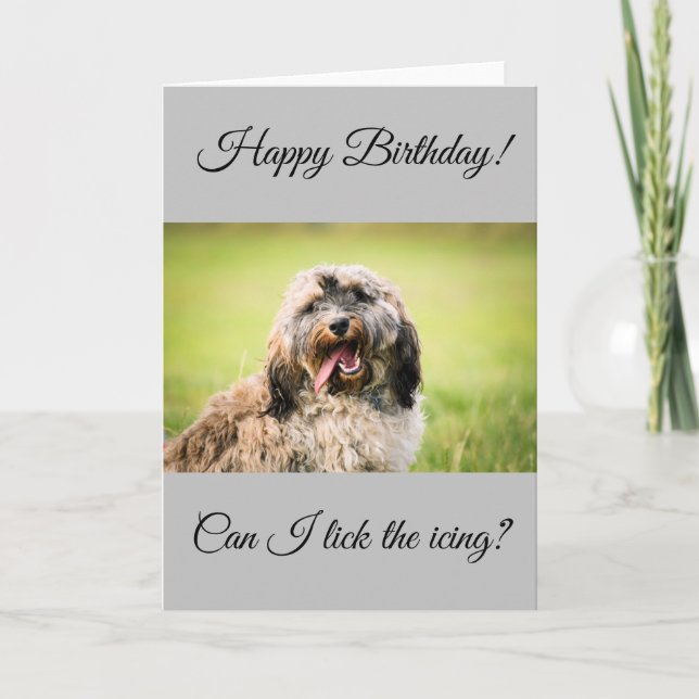 Cockapoo Birthday Card (Front)