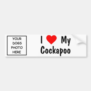 Cockapoo Bumper Sticker