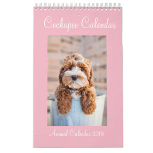 Cockapoo Calendar 2018