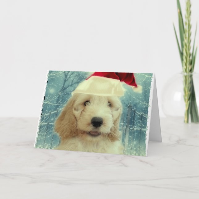Cockapoo Christmas Card (Front)