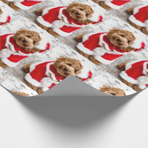 Cockapoo Christmas Wrapping Paper | Zazzle