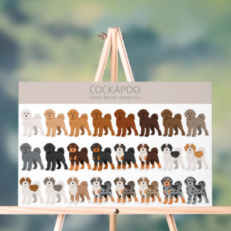 Cockapoo dog mix acrylic sign