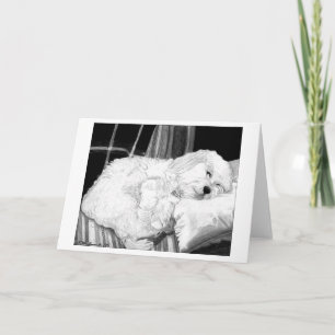 Cockapoo Dog Portrait Blank Greeting Card