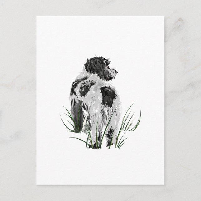 Cockapoo Dog, Watercolor Postcard (Front)