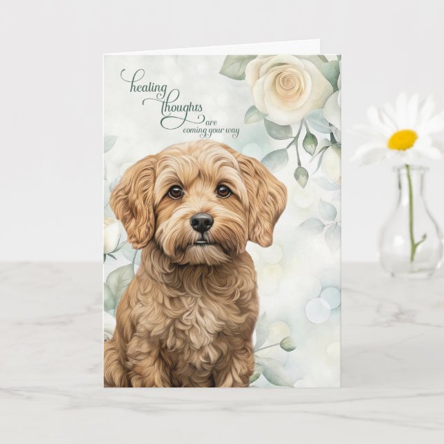 Cockapoo Dog White Roses and Sage Green Get Well Card (Small Plant)