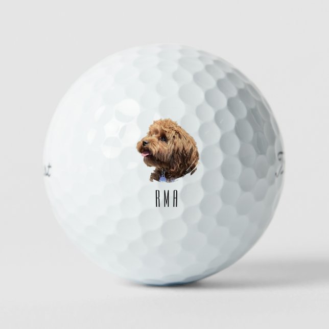 Cockapoo Golf Balls (Front)