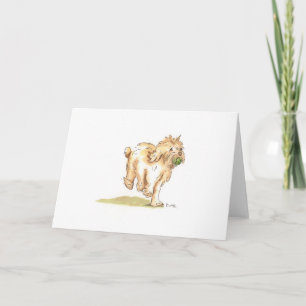 'Cockapoo' greetings card for any occasion.