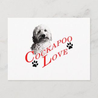 Cockapoo Love Postcard