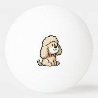 Cockapoo
