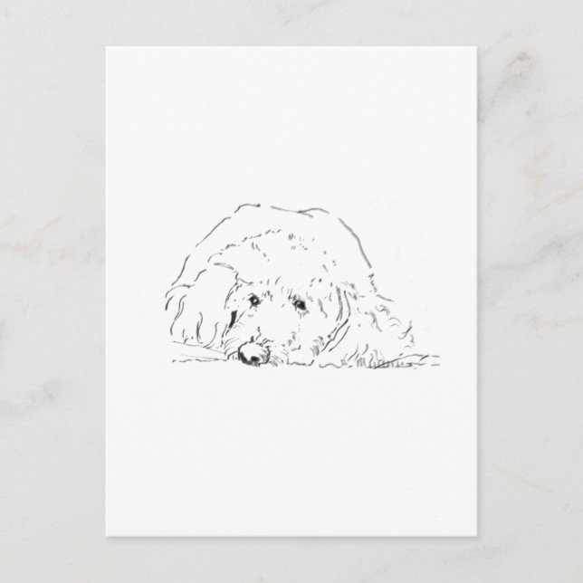 Cockapoo Puppy, Dog Lover Gift Ideas Postcard (Front)