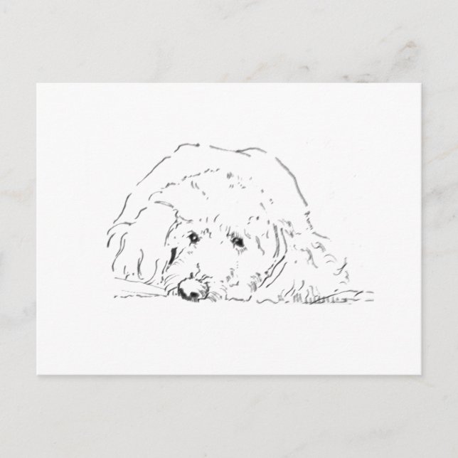 Cockapoo Puppy, Dog Lover Gift Ideas Postcard (Front)