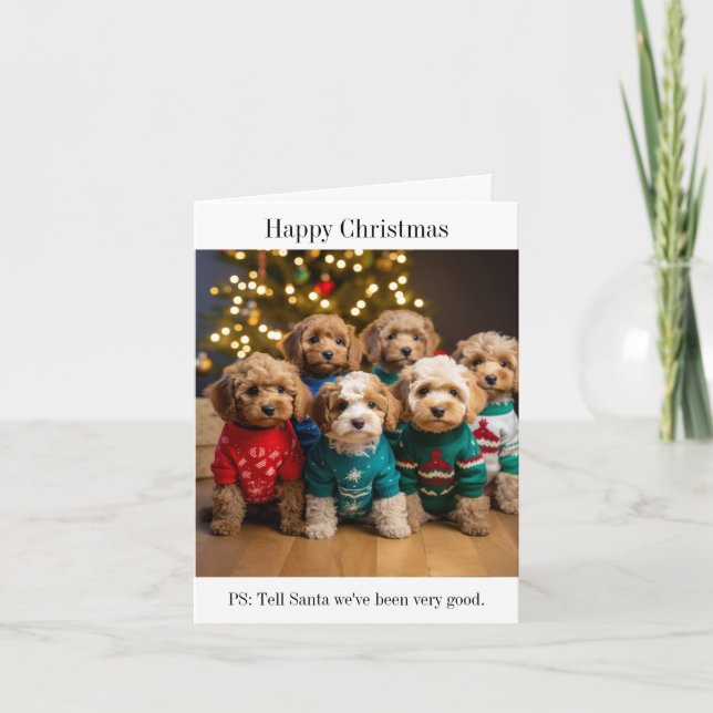 Cockapoo Puppy Litter Christmas Card (Front)