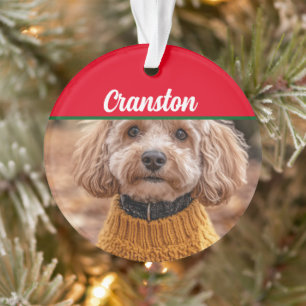 Cockapoo Santa Dog with Name and Photo Ornament