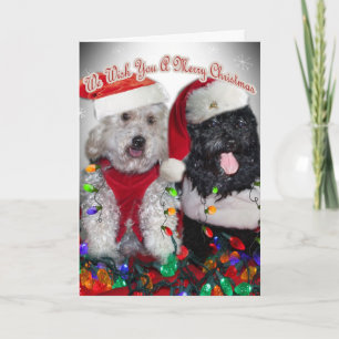 Cockapoo We Wish You Merry Christmas Holiday Card