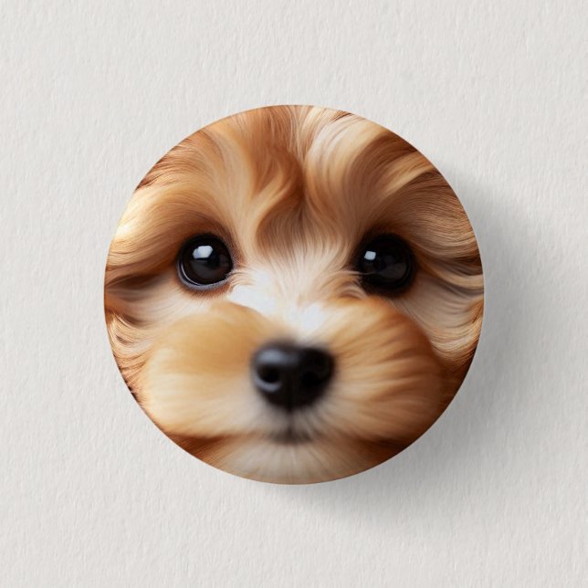 Cockapoodle Puppy Face With Big Eyes, Cute Dog 3 Cm Round Badge (Front)