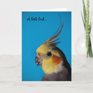 Cockatiel, A little bird... Card