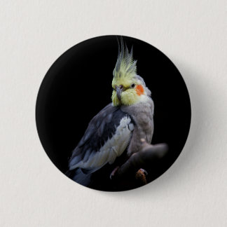 Cockatiel Badge