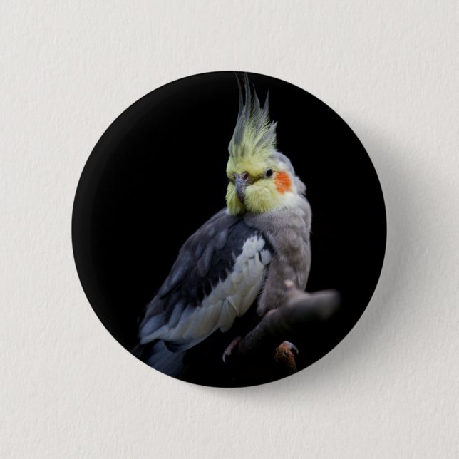 Cockatiel Badge (Front)