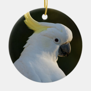 Cockatiel Bird Ceramic Tree Decoration