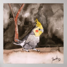 cockatiel bird painting art print