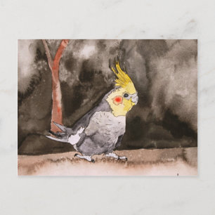 cockatiel bird painting postcard