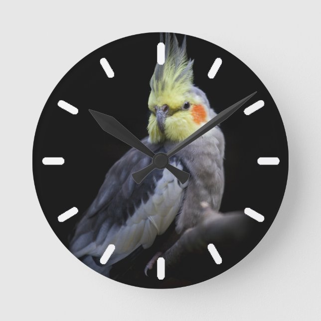 Cockatiel Clock 2 (Front)