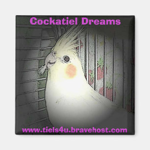 Cockatiel Dreams magnet