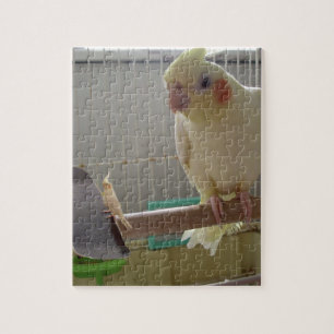 Cockatiel Fun Jigsaw Puzzle