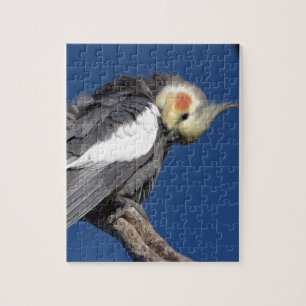 Cockatiel Jigsaw Puzzle