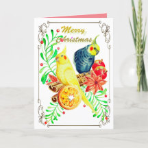 Cockatiel Mistletoe