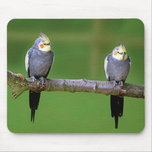 Cockatiel Mouse Mat