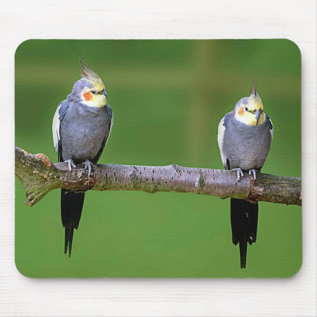 Cockatiel Mouse Mat (Front)