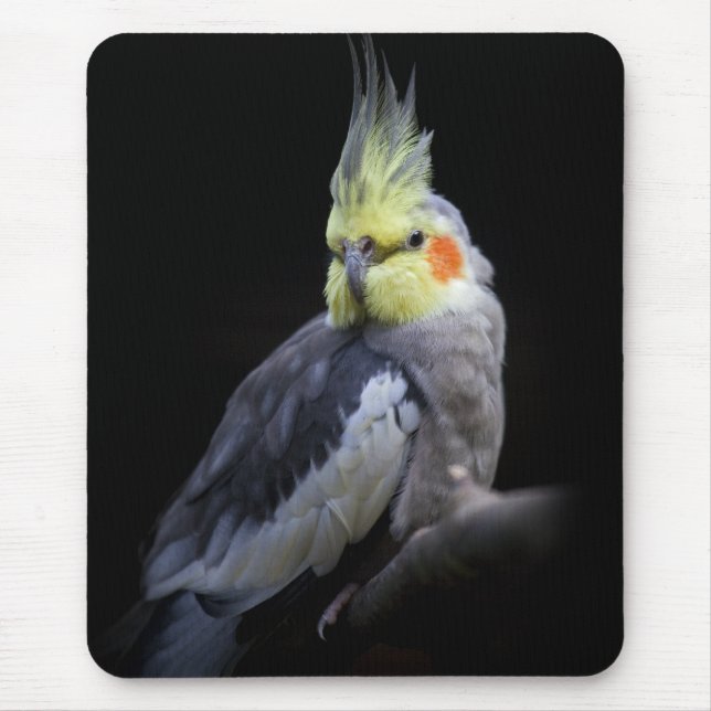 Cockatiel Mousemat (Front)