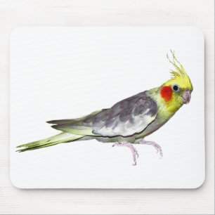 Cockatiel Mousemat (choose colour)