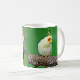 Cockatiel , Nymphicus hcus Coffee Mug