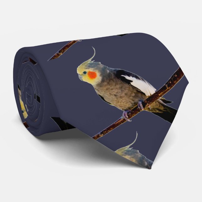 Cockatiel , Nymphicus hcus Tie (Rolled)