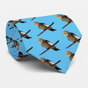 Cockatiel , Nymphicus hcus Tie