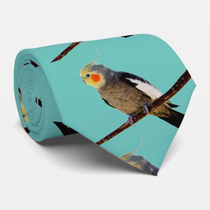 Cockatiel , Nymphicus hcus Tie