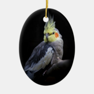 Cockatiel Ornament