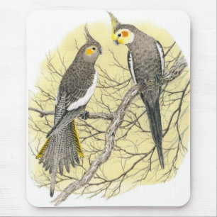 Cockatiel Pair - Nymphicus hollandicus Mouse Mat