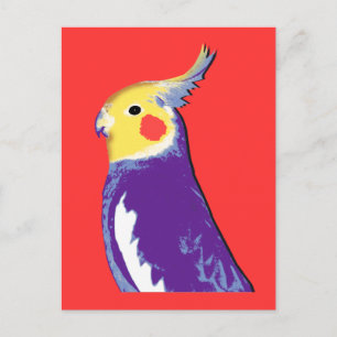 Cockatiel Pop Art Postcard