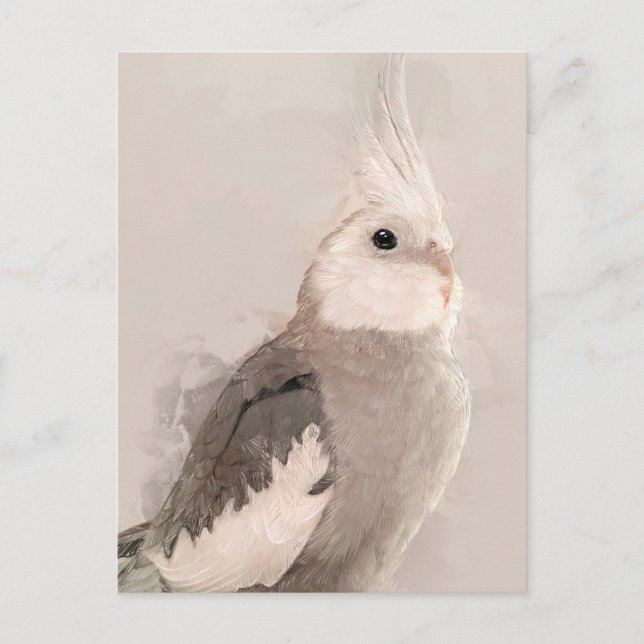 Cockatiel Portrait No.9 Postcard (Front)