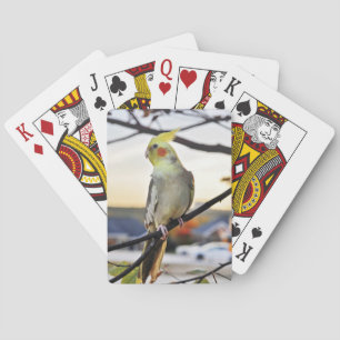 Cockatiel Profile Photograph Playing Cards