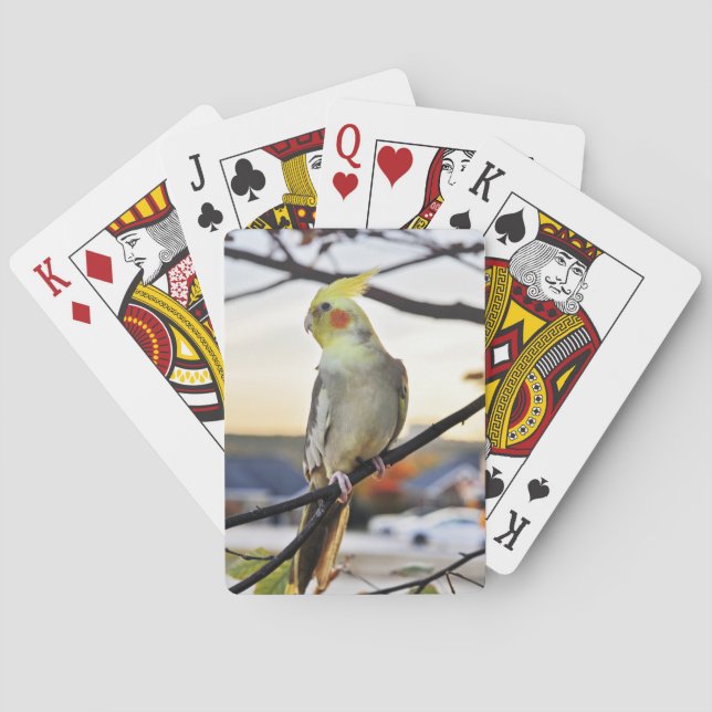 Cockatiel Profile Photograph Playing Cards (Back)