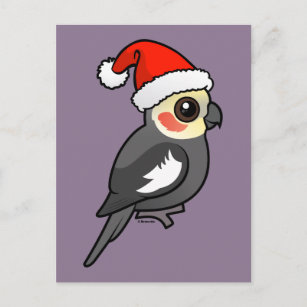 Cockatiel Santa Holiday Postcard
