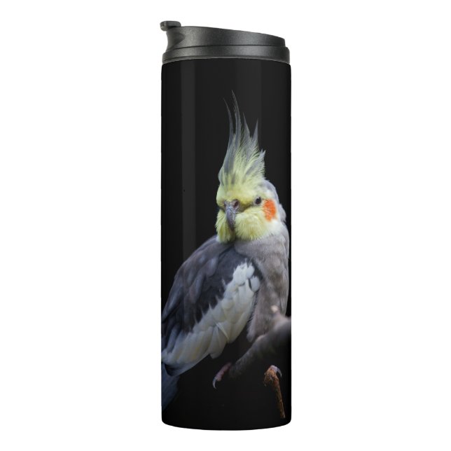 Cockatiel Thermal Tumbler (Rotated Right)