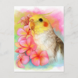 Cockatiel with frangipani postcard