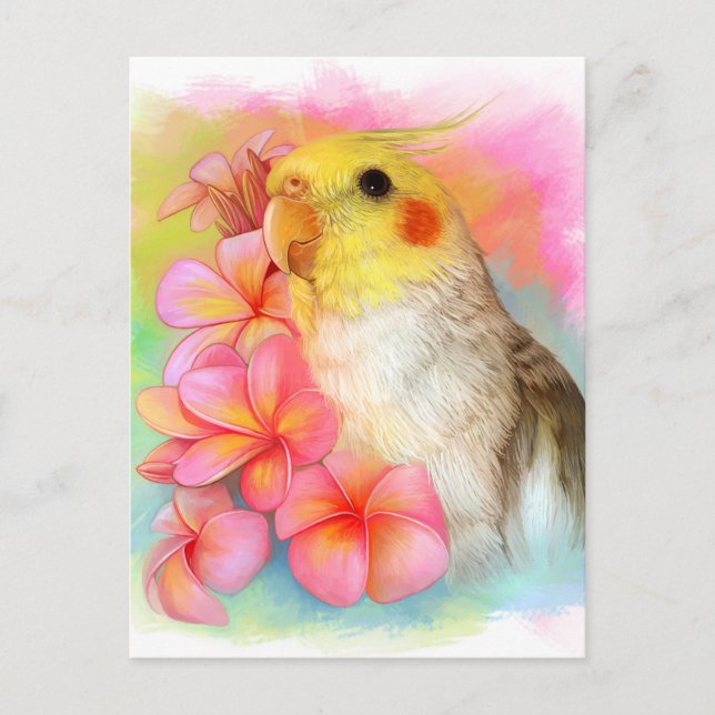 Cockatiel with frangipani postcard (Front)