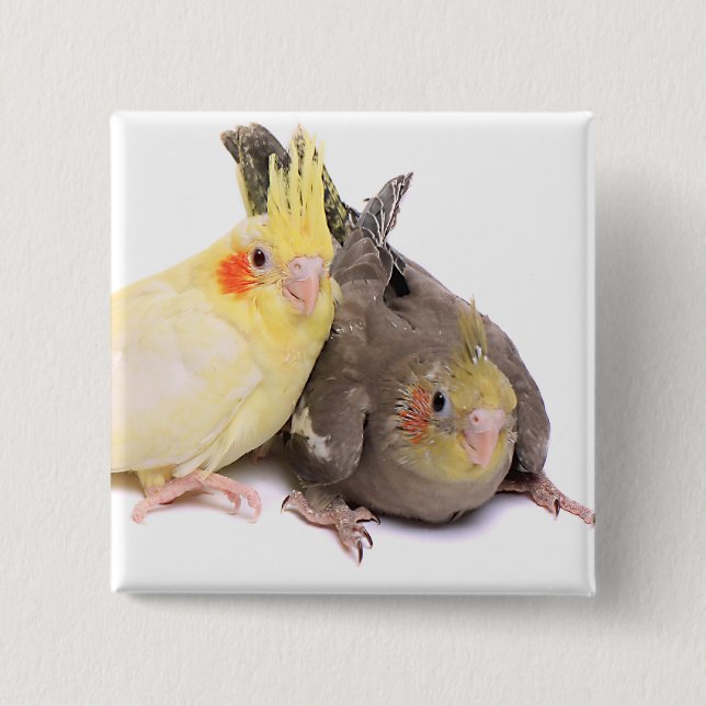 Cockatiels 15 Cm Square Badge (Front)
